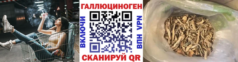 ссылка на мегу tor Ладушкин Псилоцибиновые грибы MAGIC MUSHROOMS